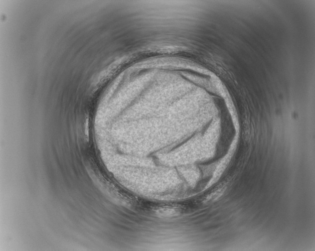 X0000054430358200508262353