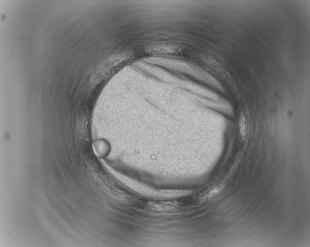 X0000054430359200508262353