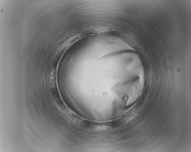 X0000054430360200508262353