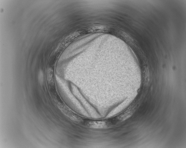 X0000054430361200508262353