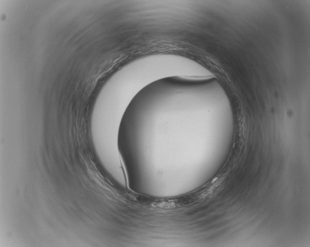 X0000054430362200508262353