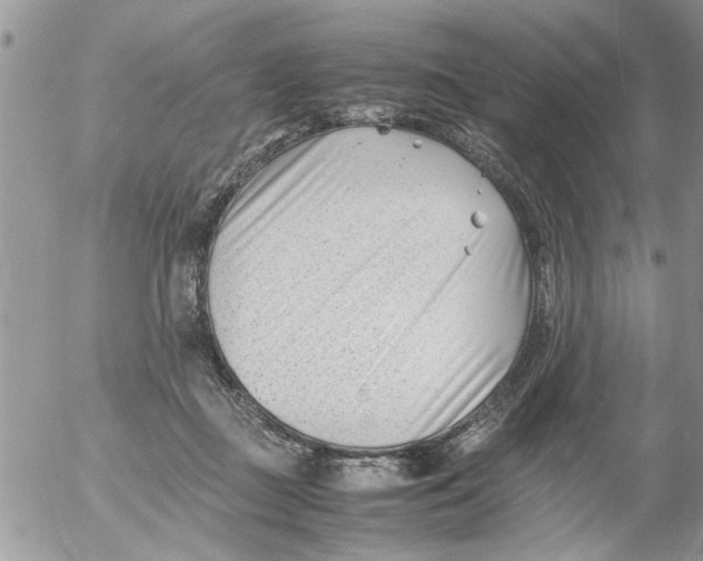 X0000054430363200508262353