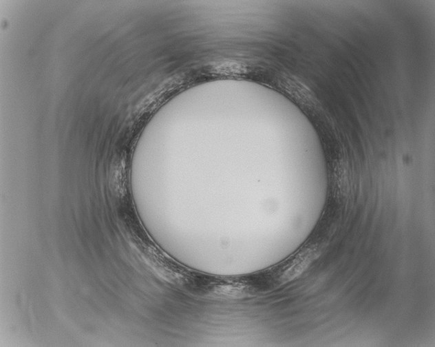 X0000054430364200508262353