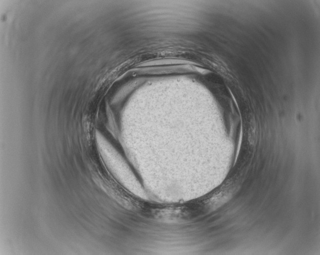 X0000054430366200508262353