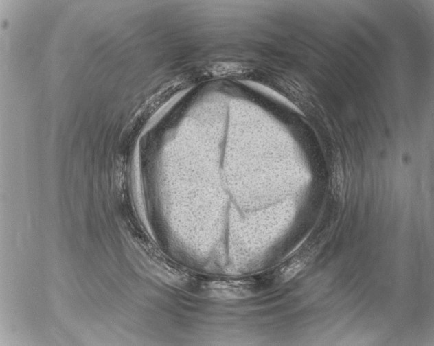 X0000054430367200508262353