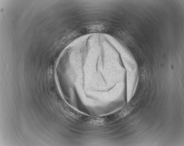 X0000054430369200508262353