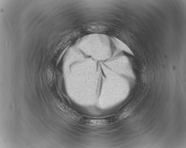 X0000054430371200508262353