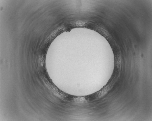 X0000054430374200508262353