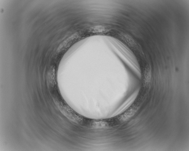 X0000054430376200508262353