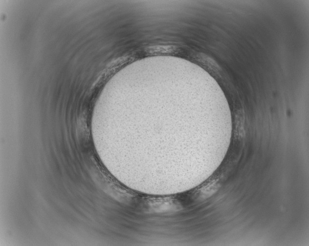 X0000054430377200508262353