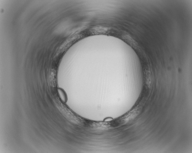 X0000054430378200508262353