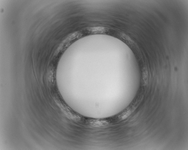 X0000054430379200508262353