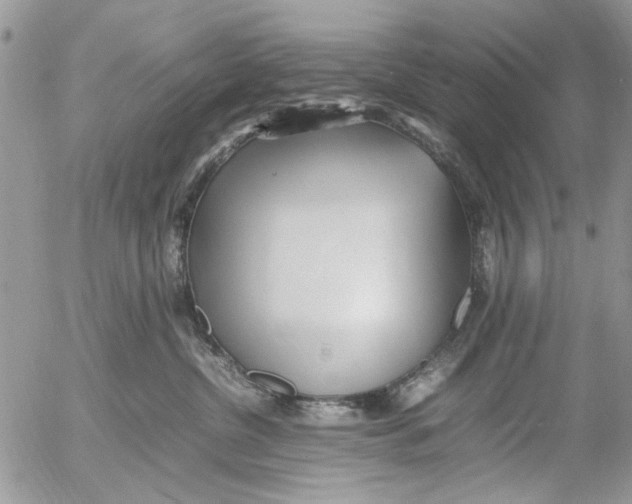 X0000054430380200508262353