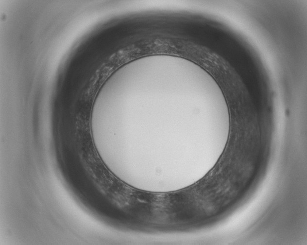 X0000054430382200508262353