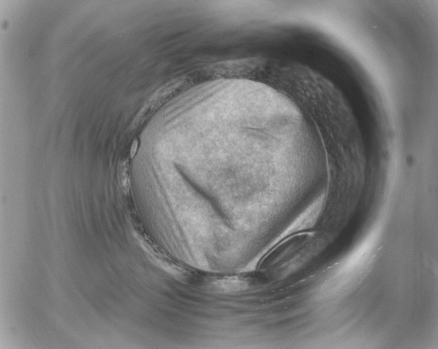 X0000054430383200508262354