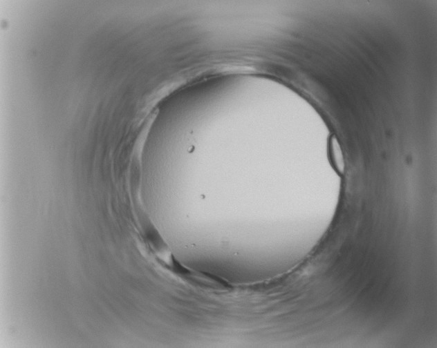 X0000054430385200508262353