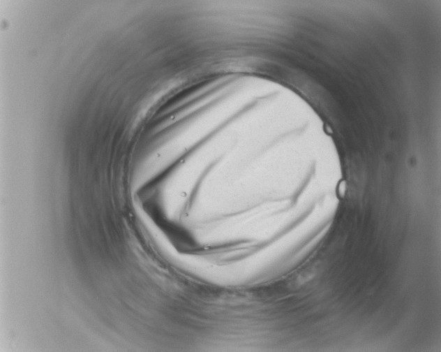 X0000054430386200508262353