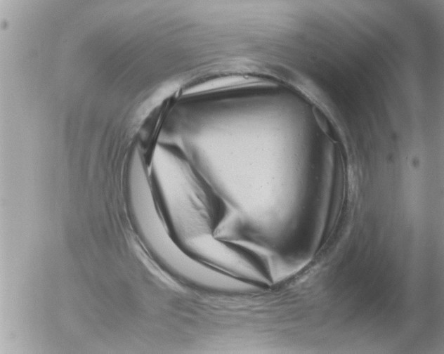 X0000054430389200508262353