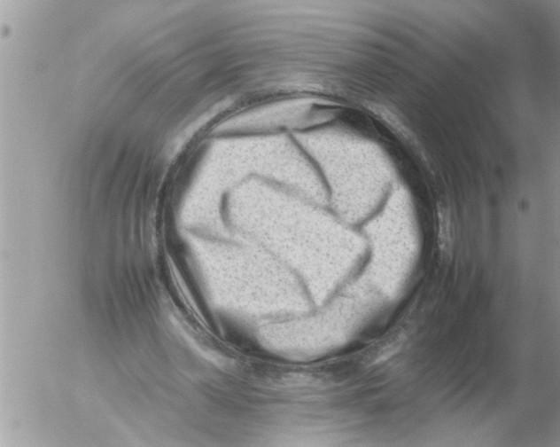 X0000054430390200508262353