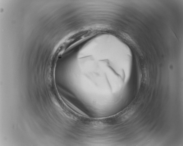 X0000054430392200508262353