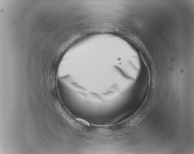 X0000054430393200508262353