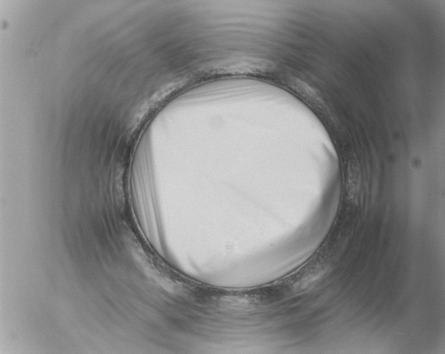 X0000054430394200508262353