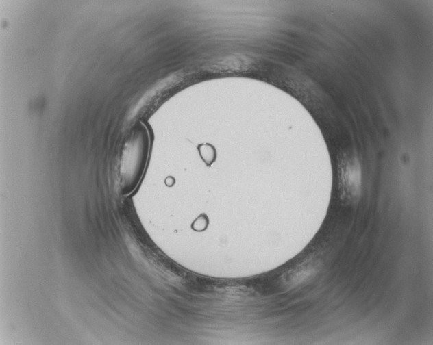 X0000054430396200508262353