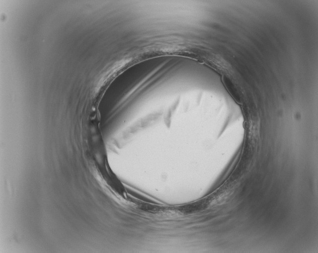 X0000054430397200508262353