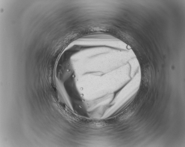 X0000054430402200508262352