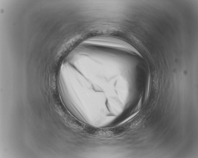 X0000054430403200508262352