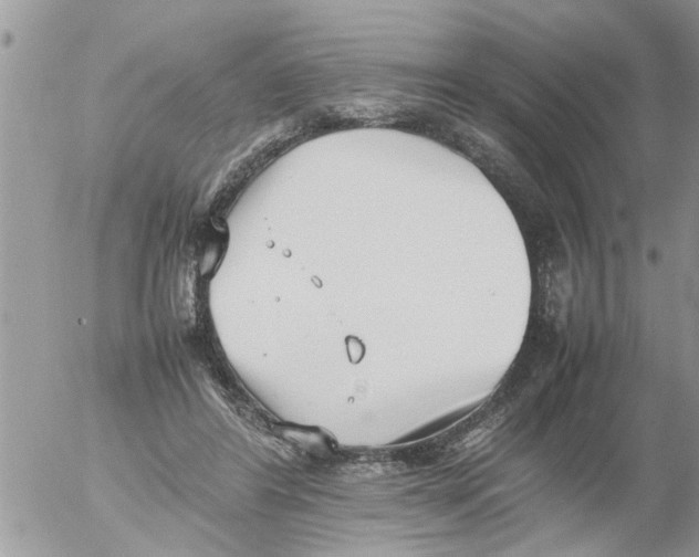 X0000054430404200508262352