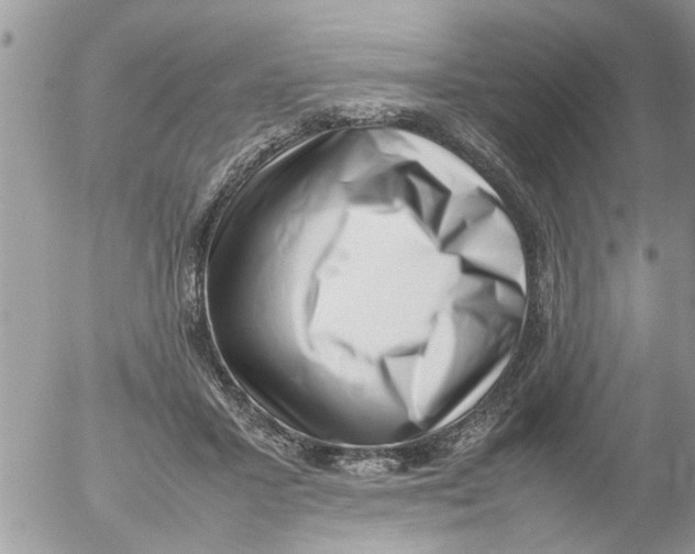 X0000054430407200508262352