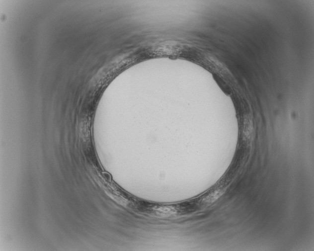 X0000054430409200508262352