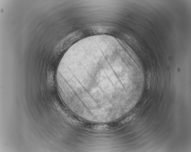 X0000054430410200508262352