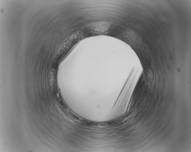 X0000054430412200508262352