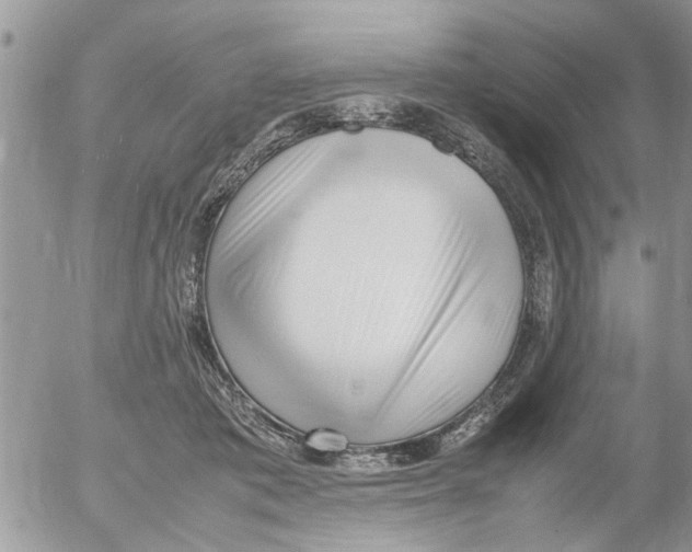 X0000054430413200508262352