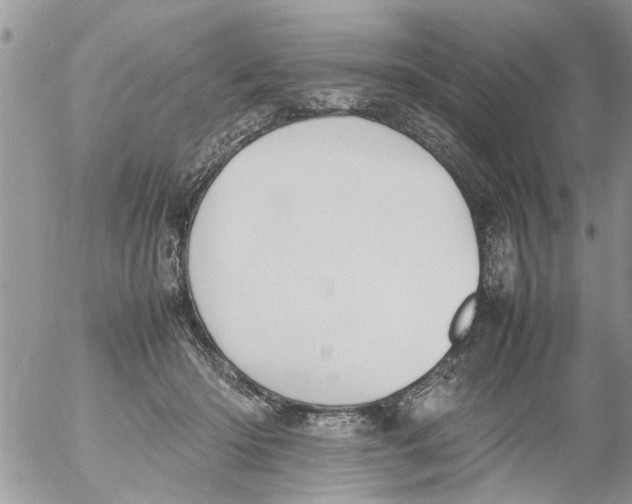 X0000054430414200508262352