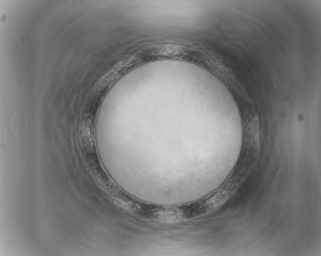 X0000054430415200508262352