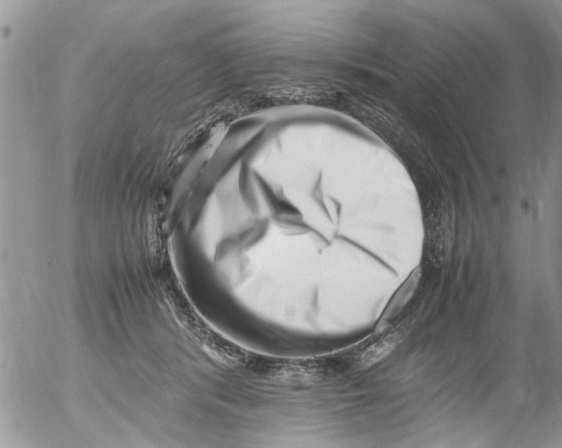 X0000054430416200508262352