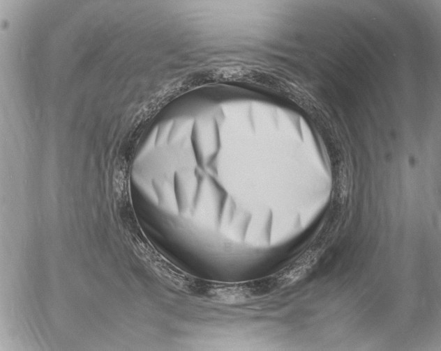 X0000054430417200508262352