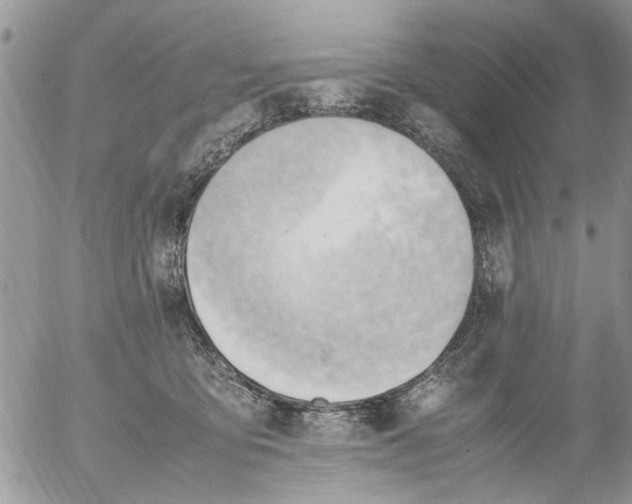 X0000054430419200508262352