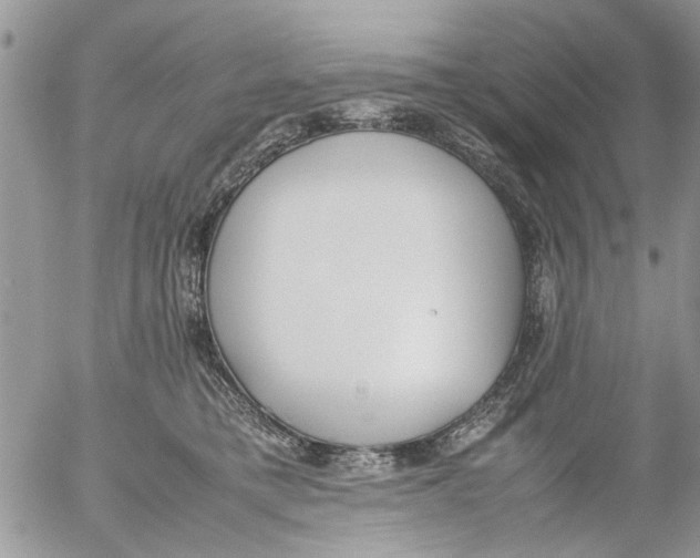 X0000054430421200508262352