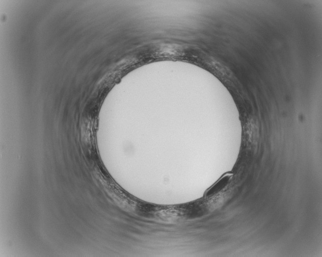 X0000054430423200508262352