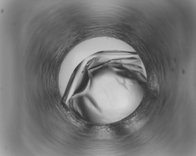 X0000054430424200508262352