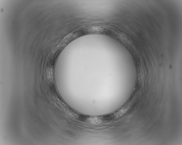 X0000054430425200508262352