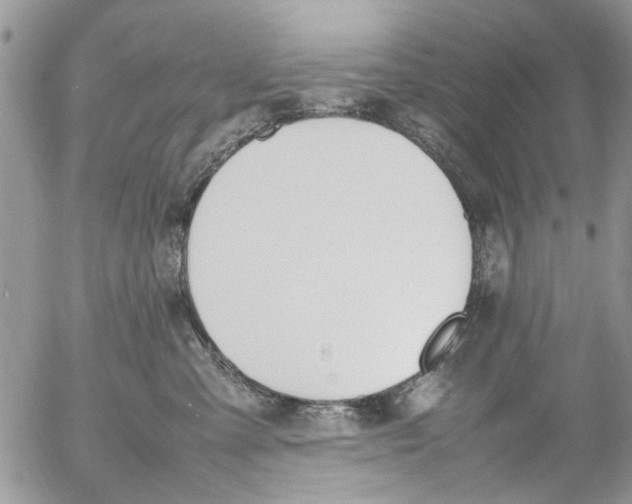 X0000054430427200508262352