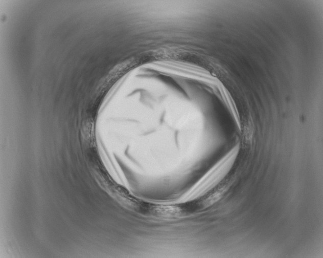 X0000054430429200508262352