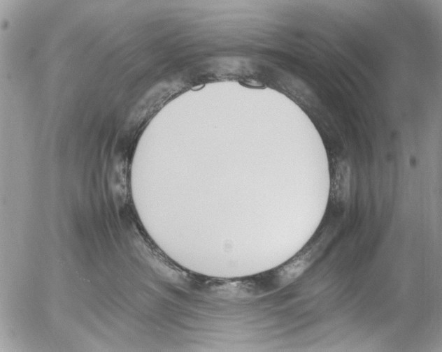 X0000054430430200508262352