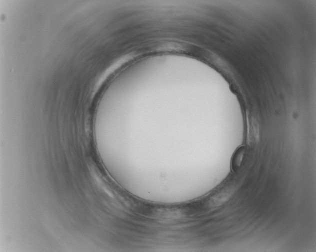 X0000054430435200508262351