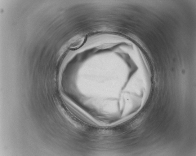 X0000054430437200508262351